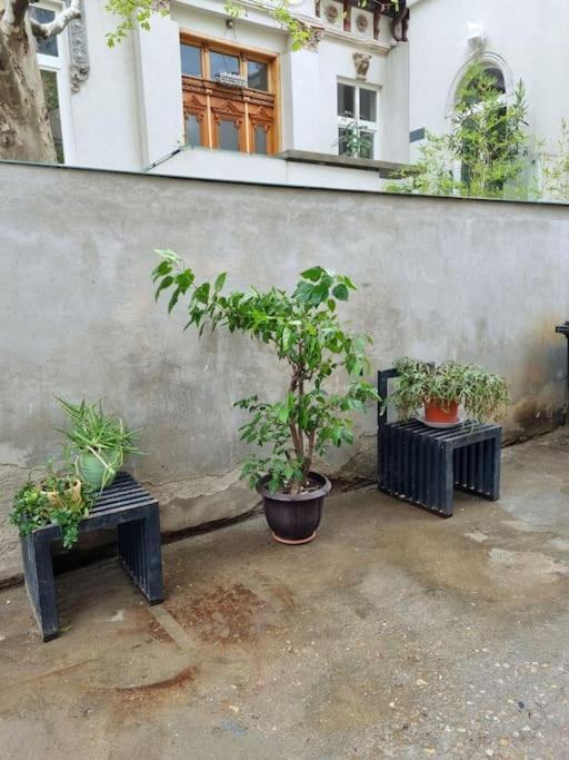 Cozy Apartment Near City Center Bucureşti Exterior foto